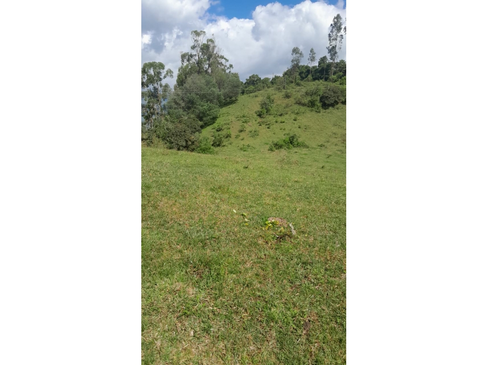 GIA 348. Lote en venta, Choachi, Vereda Bobadilla - 2