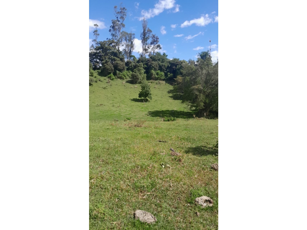 GIA 348. Lote en venta, Choachi, Vereda Bobadilla - 3