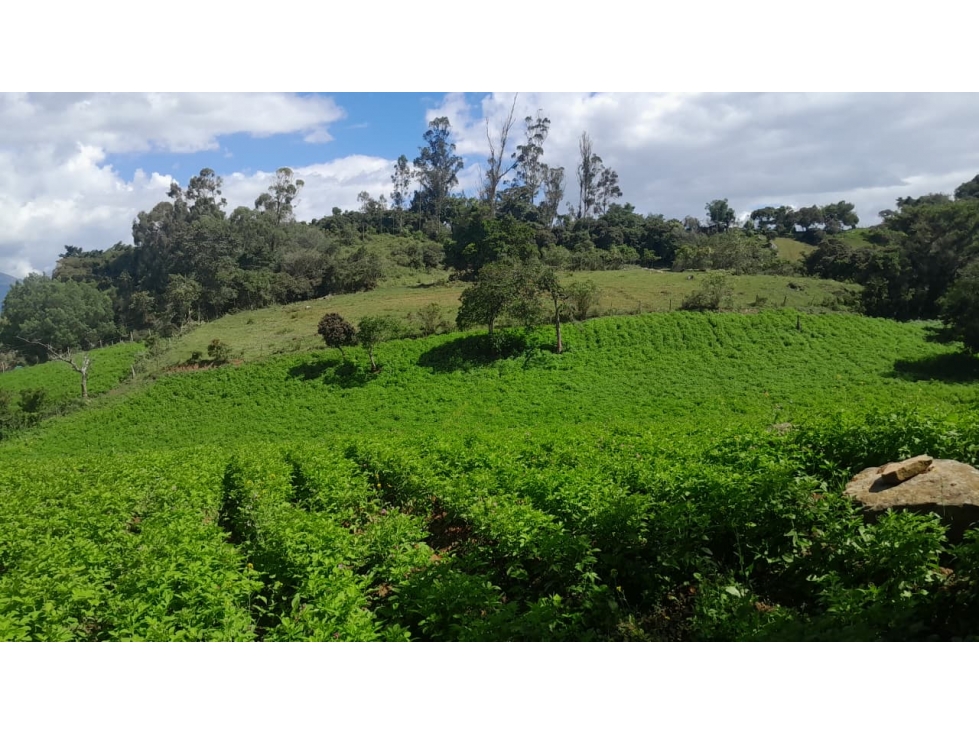 GIA 348. Lote en venta, Choachi, Vereda Bobadilla - 1