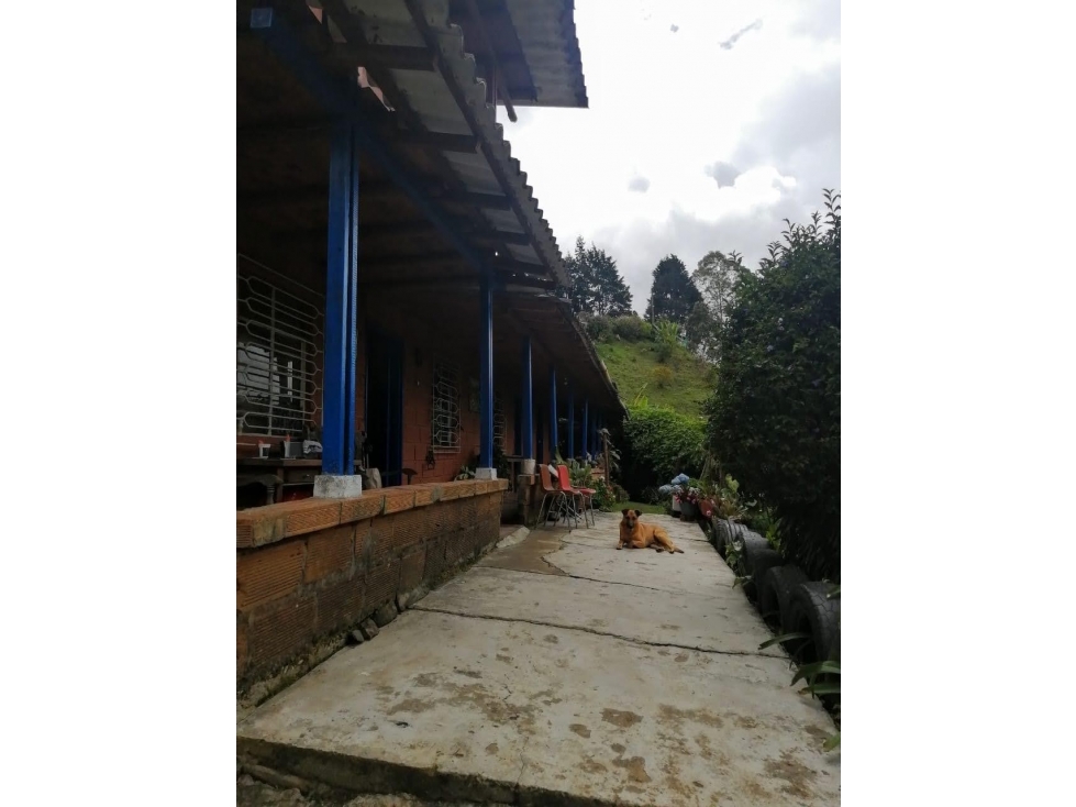 VENDO FINCA EN GUARNE — foto 3