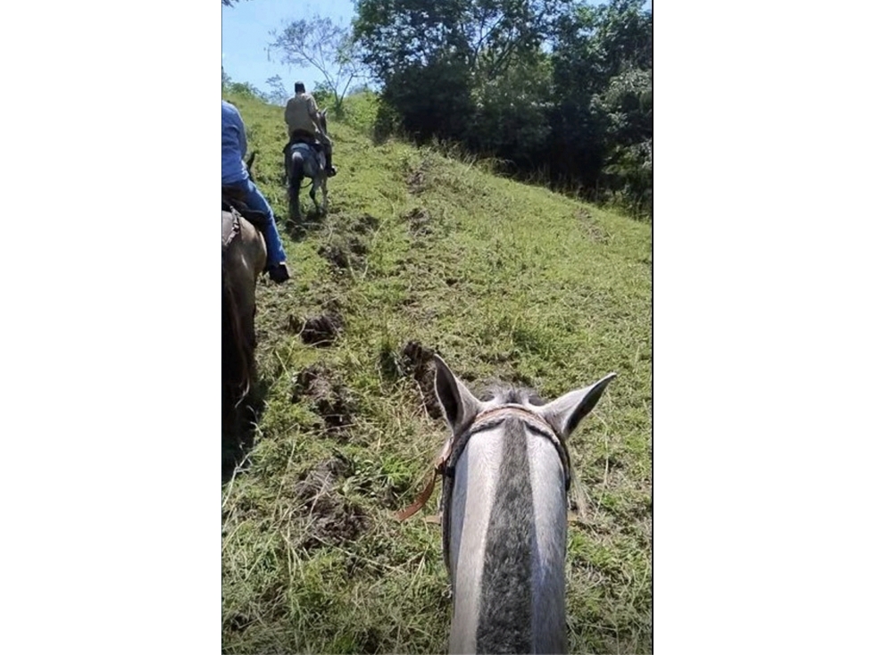 FINCA de 50 plazas A solo 15 Minutos de BUGA- PRESIDENTE - 6