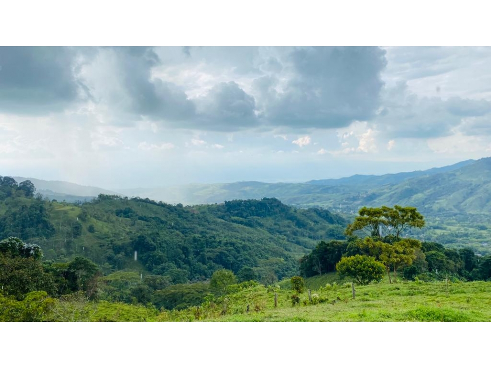 Finca ganadera en Buga, La Magdalena, Vereda El Janeiro - 6