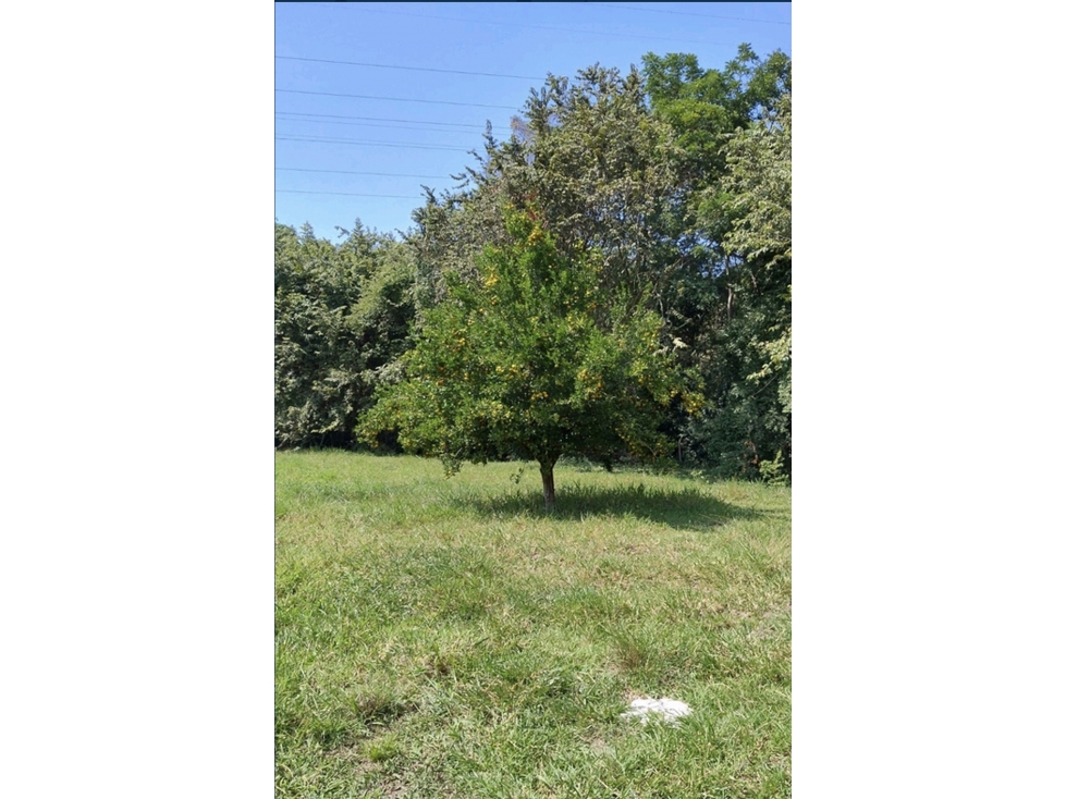 FINCA de 50 plazas A solo 15 Minutos de BUGA- PRESIDENTE - 5