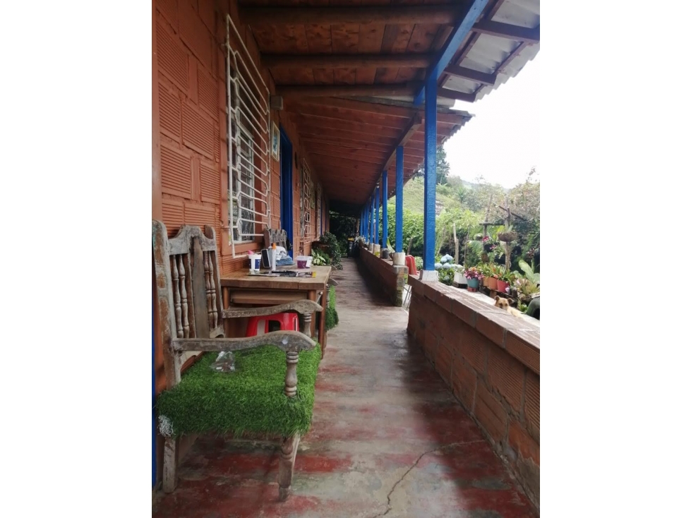 VENDO FINCA EN GUARNE — foto 2