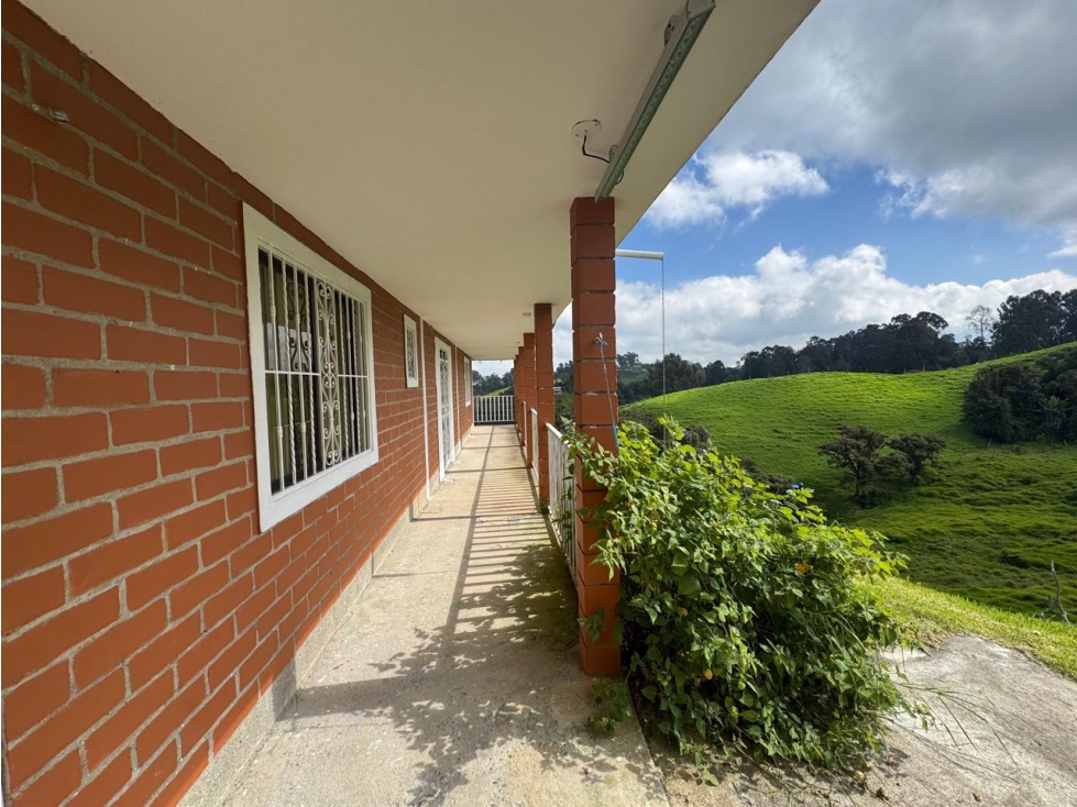 VENDO FINCA EN SAN PEDRO DE LOS MILAGROS — foto 2