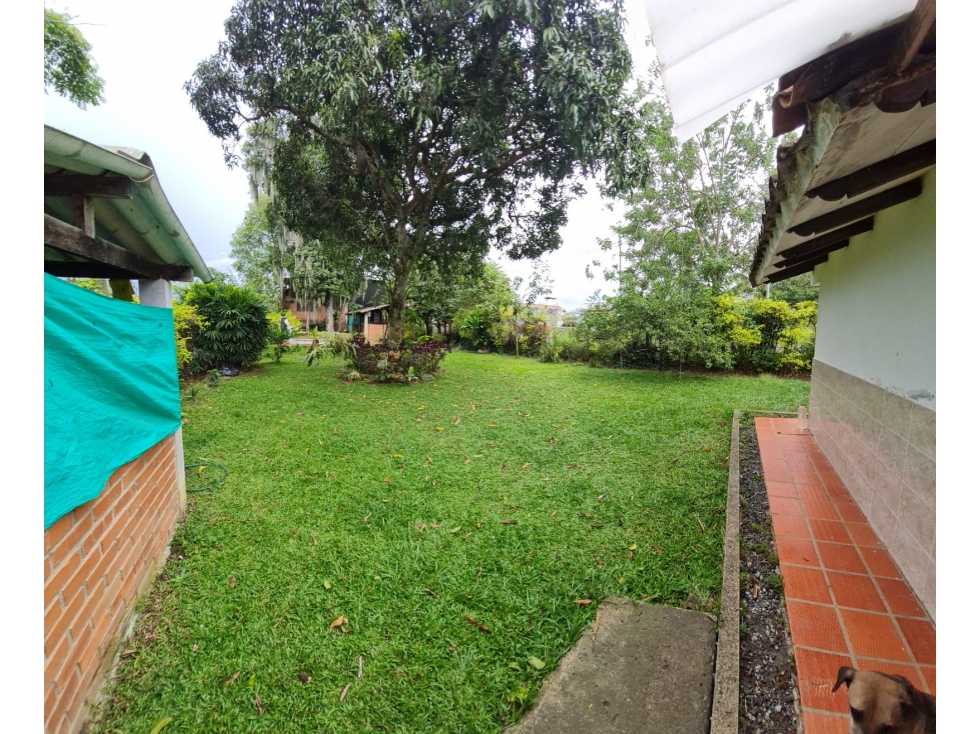 Casa y lote esquinero en Cascajal sur de Cali — foto 6