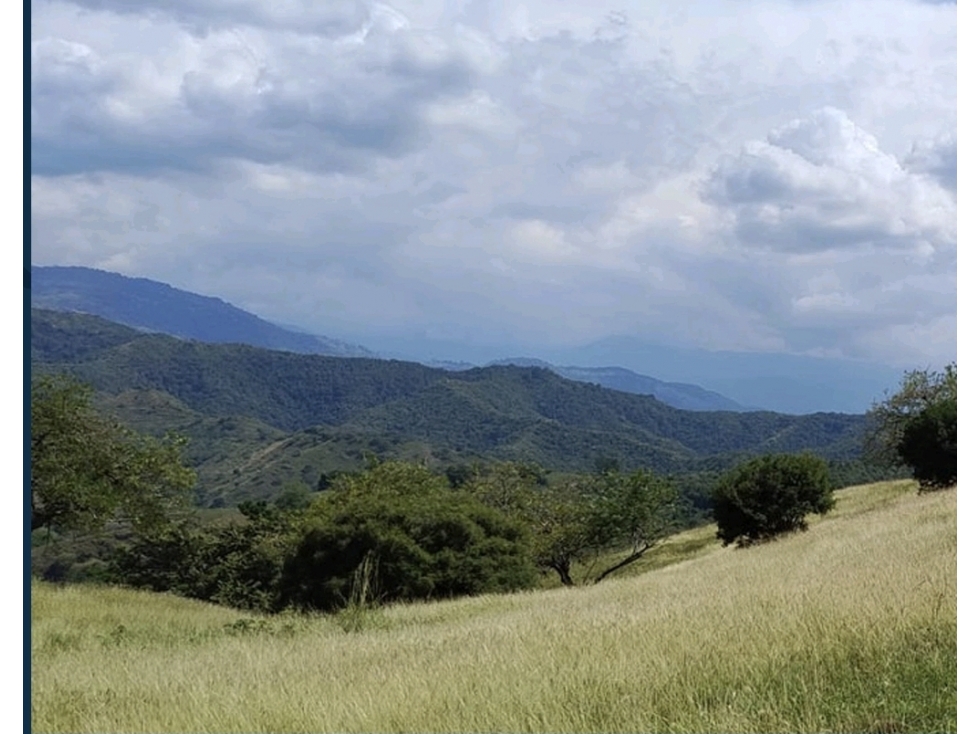 FINCA de 50 plazas A solo 15 Minutos de BUGA- PRESIDENTE - 3