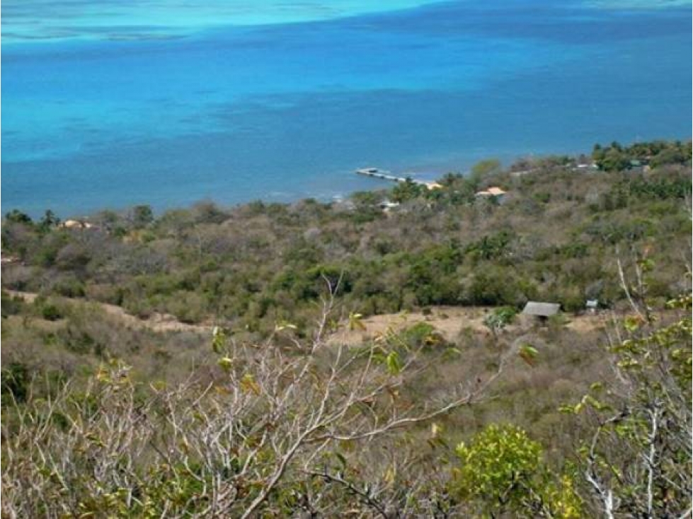 Terreno en Isla Providencia - para desarrollo Turistico - 5