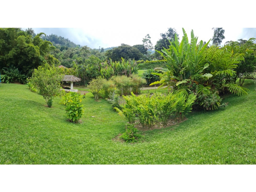 Casa / Finca - Independiente en Dapa Valle del Cauca - 4