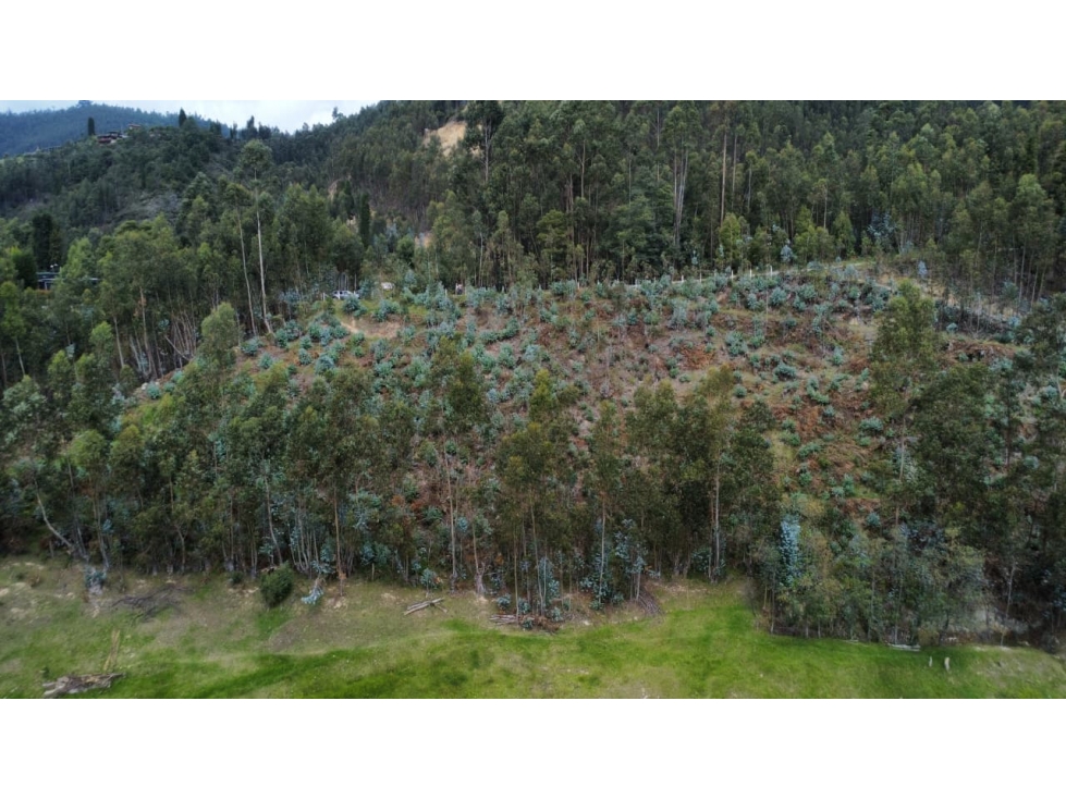 VENTA TERRENO CAMPESTRE 4813 M2 PAIPA BOYACA - 4