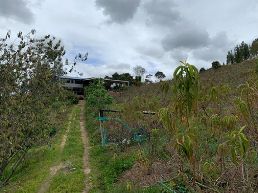 VENDO EN PAIPA BOYACA HERMOSA FINCA EN PRODUCCIÓN - 6