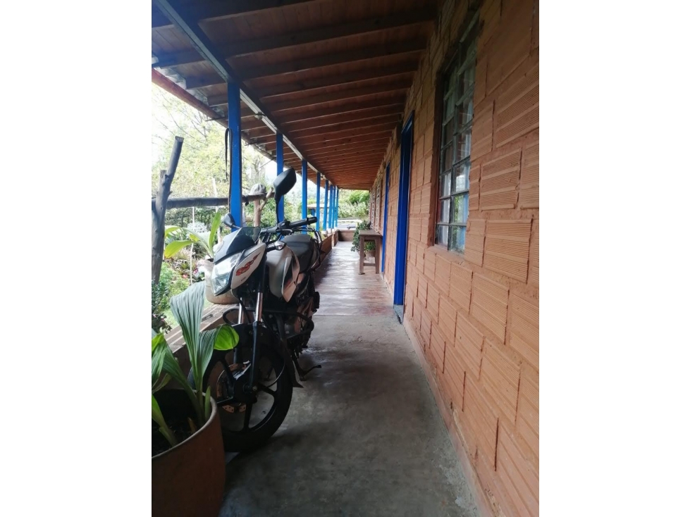 VENDO FINCA EN GUARNE — foto 5