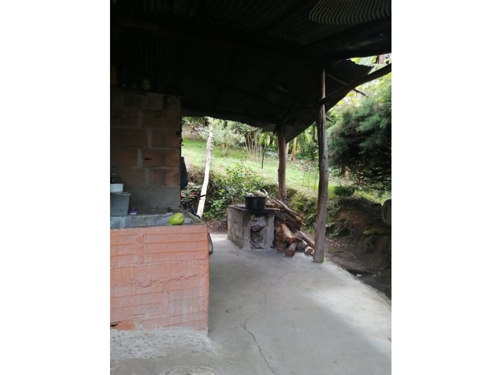 VENDO FINCA EN GUARNE — foto 6