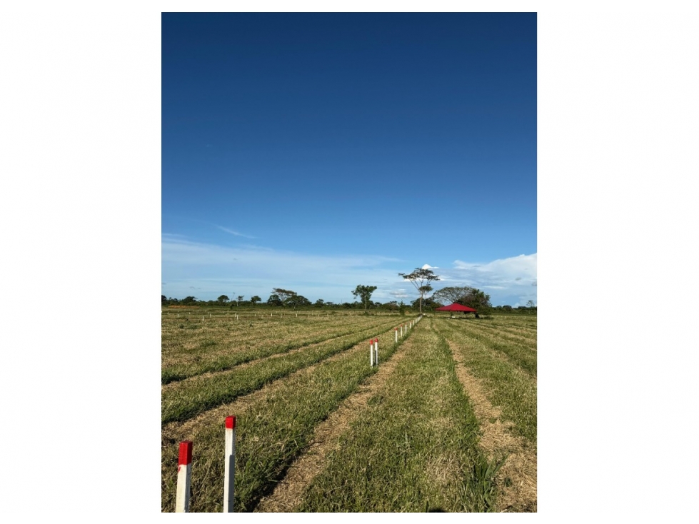 Venta de lote en Vereda Santa Teresita, Acacias - 2