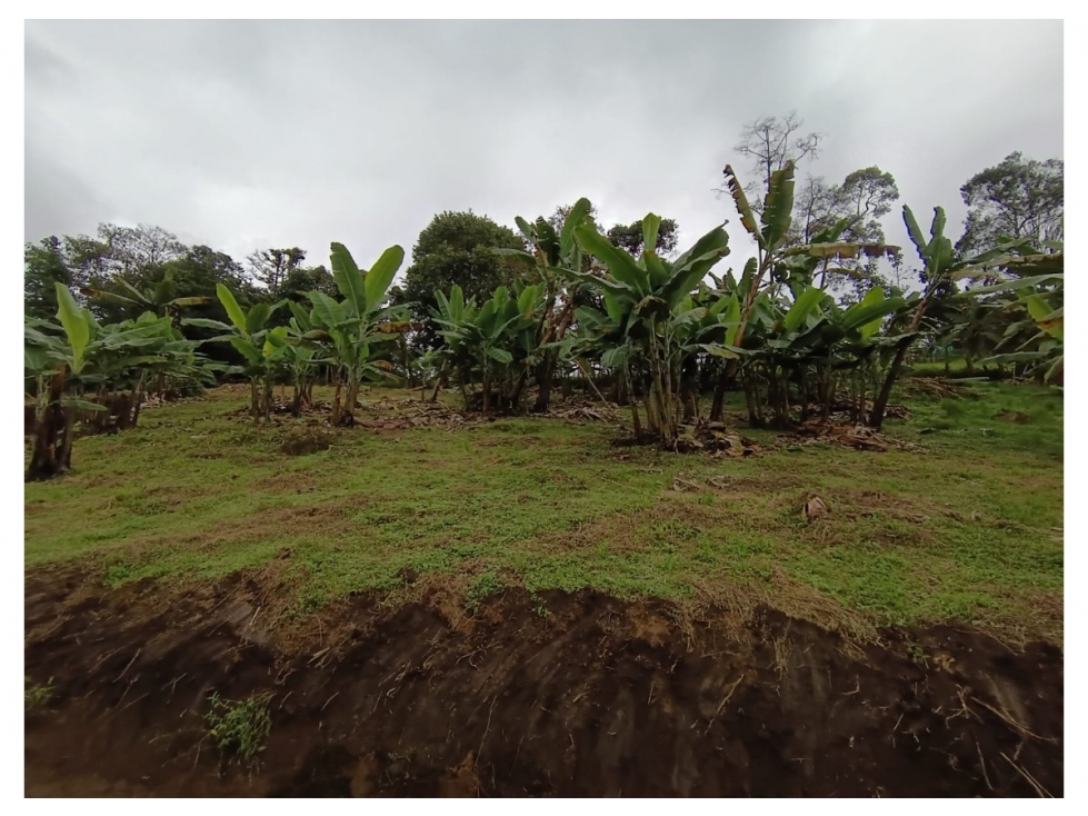 Venta de lote en Mesitas del Colegio, Cundinamarca | Laverde - 2