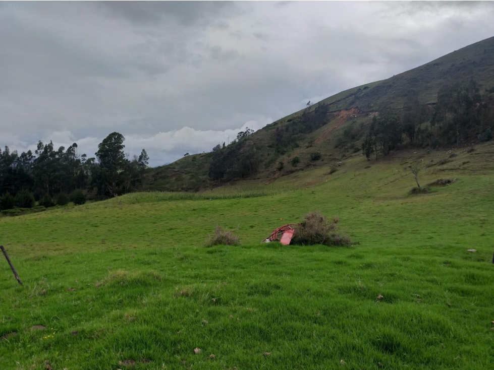Venta de finca en Suesca, Cundinamarca - 2