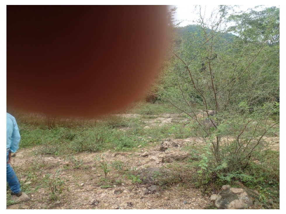 Venta de Finca en Guaduas, Vereda Cocolo - 2