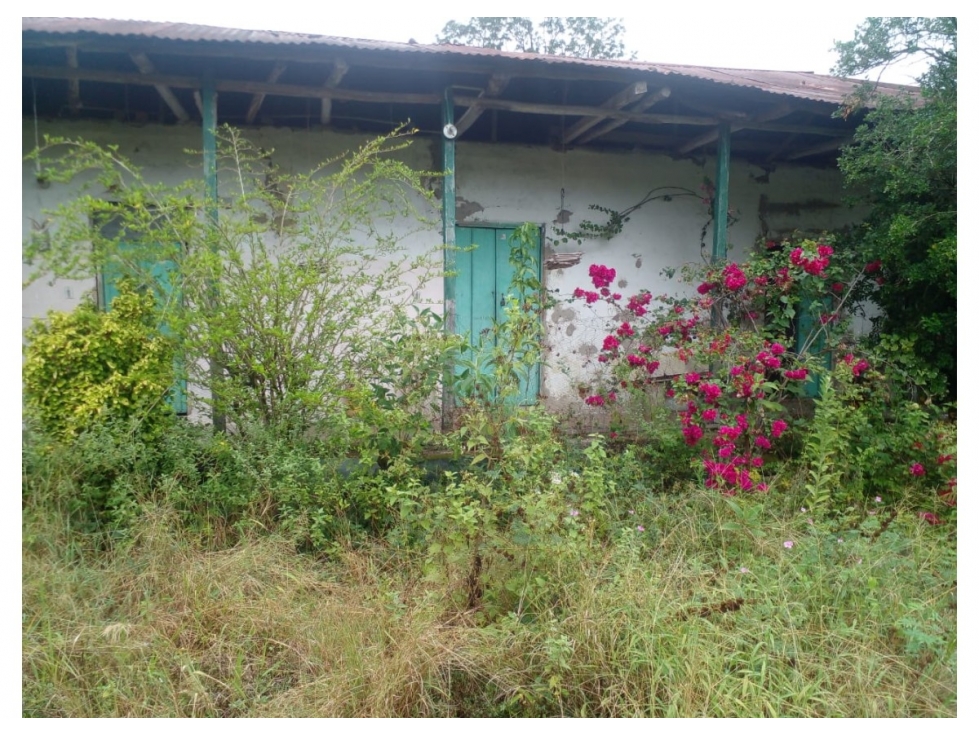 Venta de Finca en Guaduas, Vereda Cocolo - 3