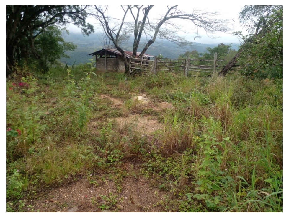 Venta de Finca en Guaduas, Vereda Cocolo - 4