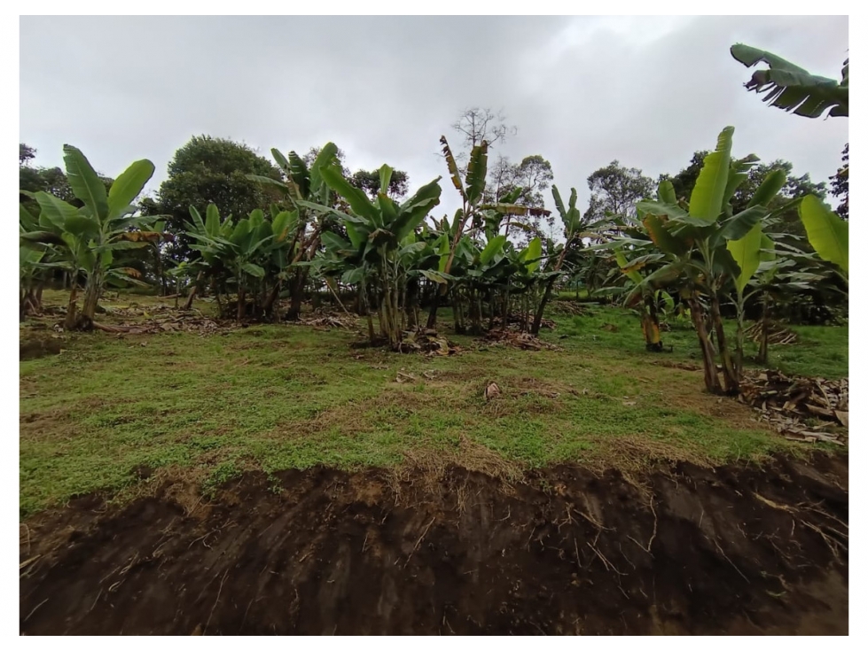 Venta de lote en Mesitas del Colegio, Cundinamarca | Laverde - 5