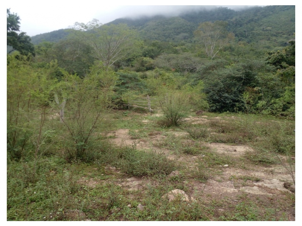 Venta de Finca en Guaduas, Vereda Cocolo - 5