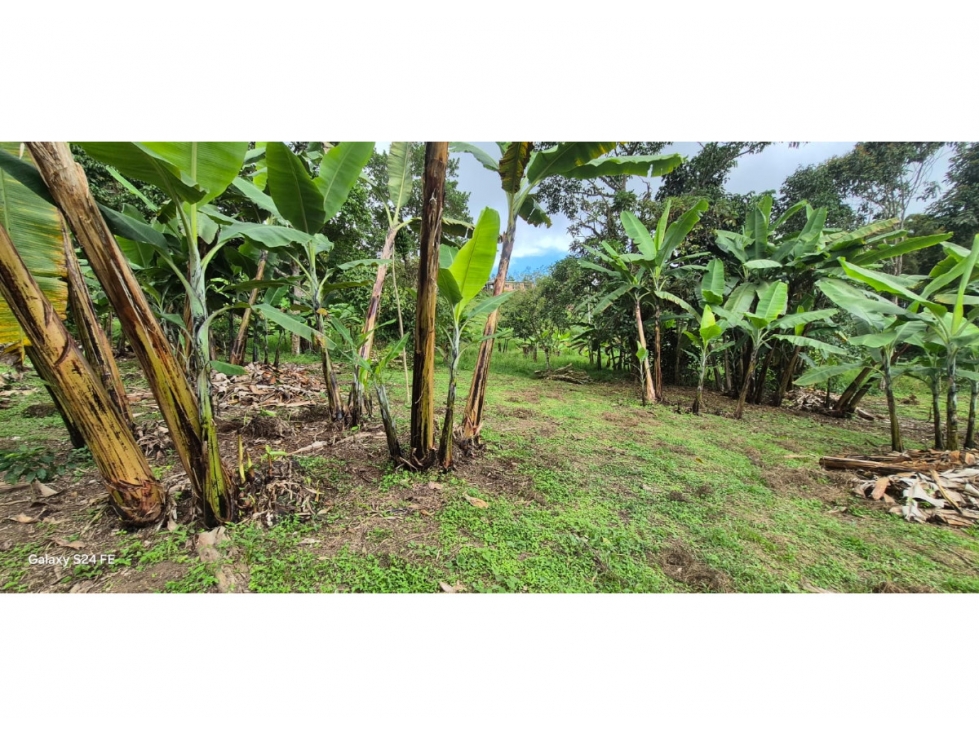 Venta de lote en Mesitas del Colegio, Cundinamarca | Laverde - 6
