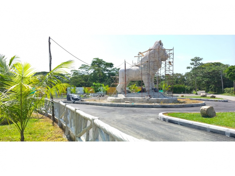 Venta de lote en Acacias, Meta - 6