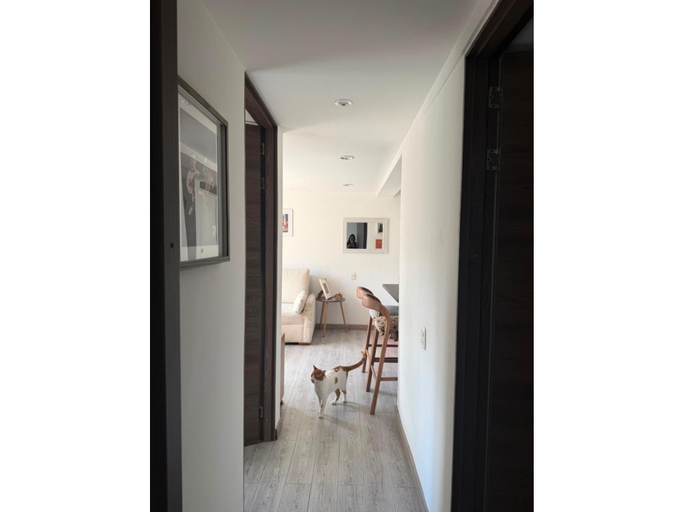 SE VENDE APARTAMENTO SECTOR LOS MARTIRES — foto 2