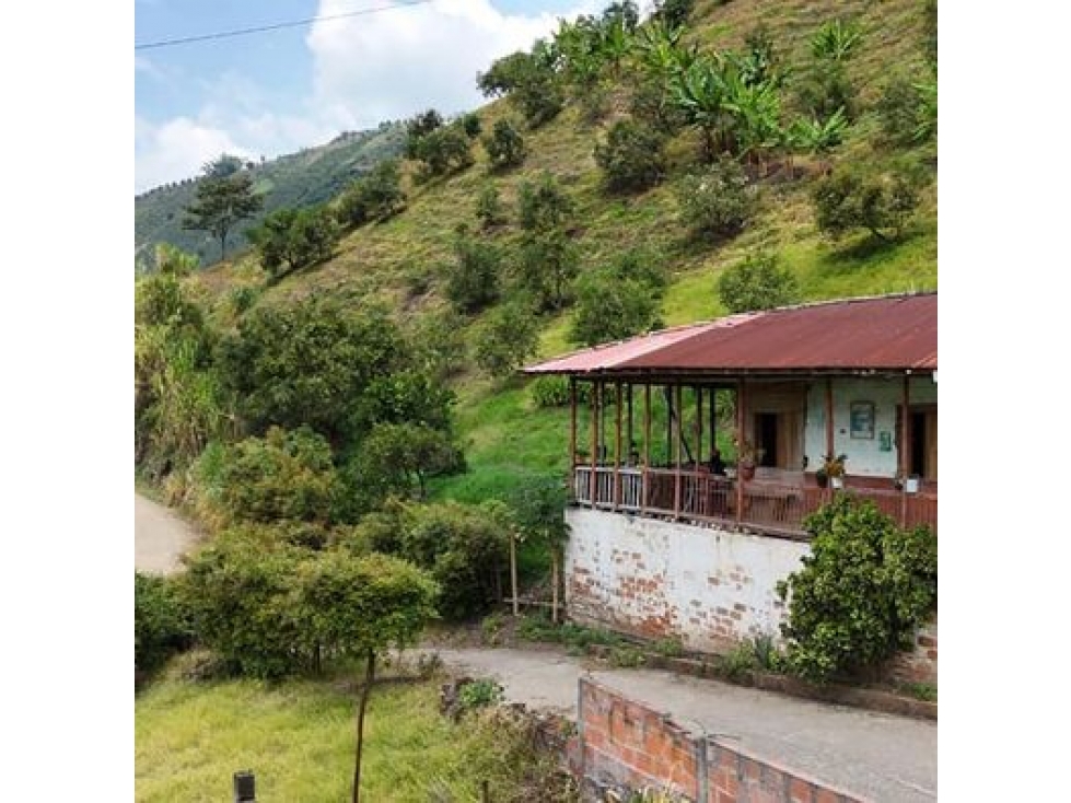 EN VENTA FINCA PRODUCTIVA VEREDA LLANITOS VILLAMARÍA CALDAS - 2
