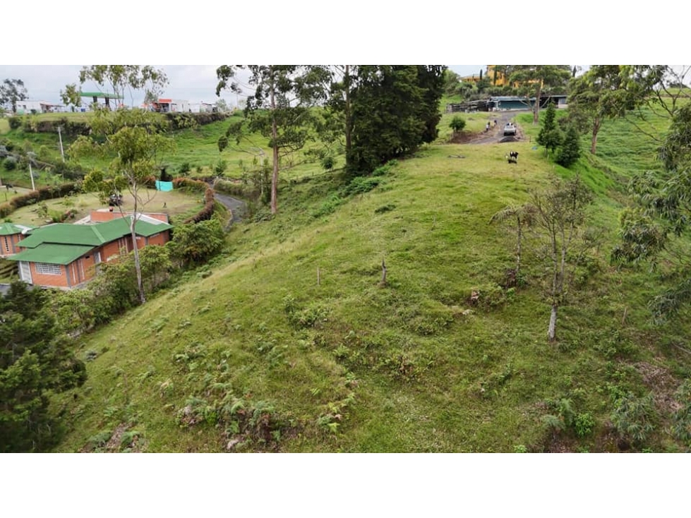 EN VENTA LOTE VIA PEREIRA ARMENIA VEREDA EL MANZANO - 1