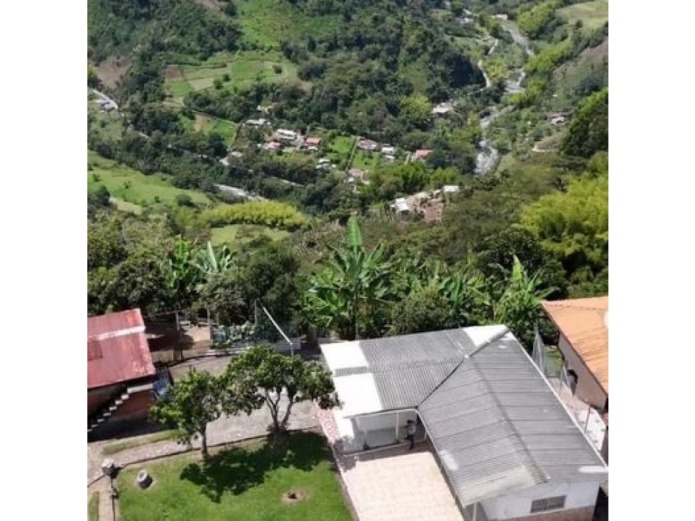 EN VENTA FINCA PRODUCTIVA LLANITOS VILLAMARIA — foto 3