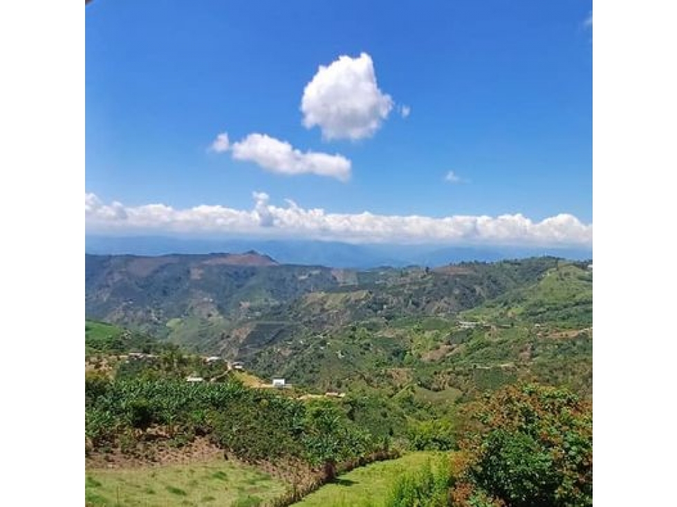 EN VENTA FINCA PUEBLO RICO NEIRA - 2