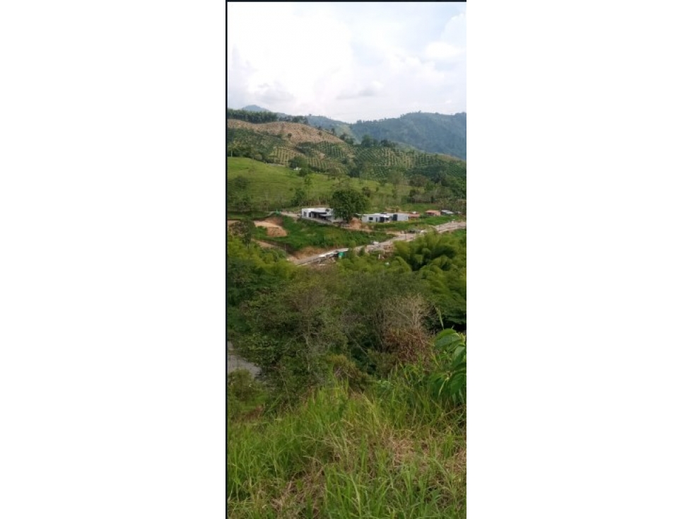 EN VENTA LOTE PALO SANTO CONJUNTO CERRADO VIA NUEVA A CHINCHINA — foto 4