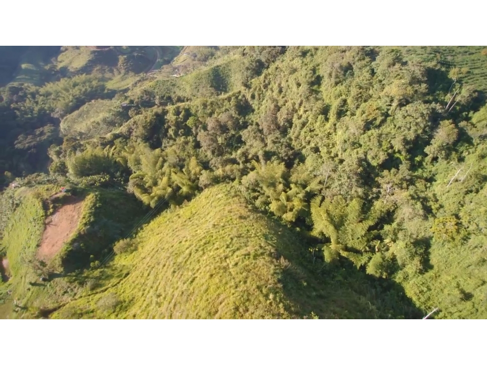 VENTA DE FINCA PRODUCTIVA FRESNO TOLIMA - 2