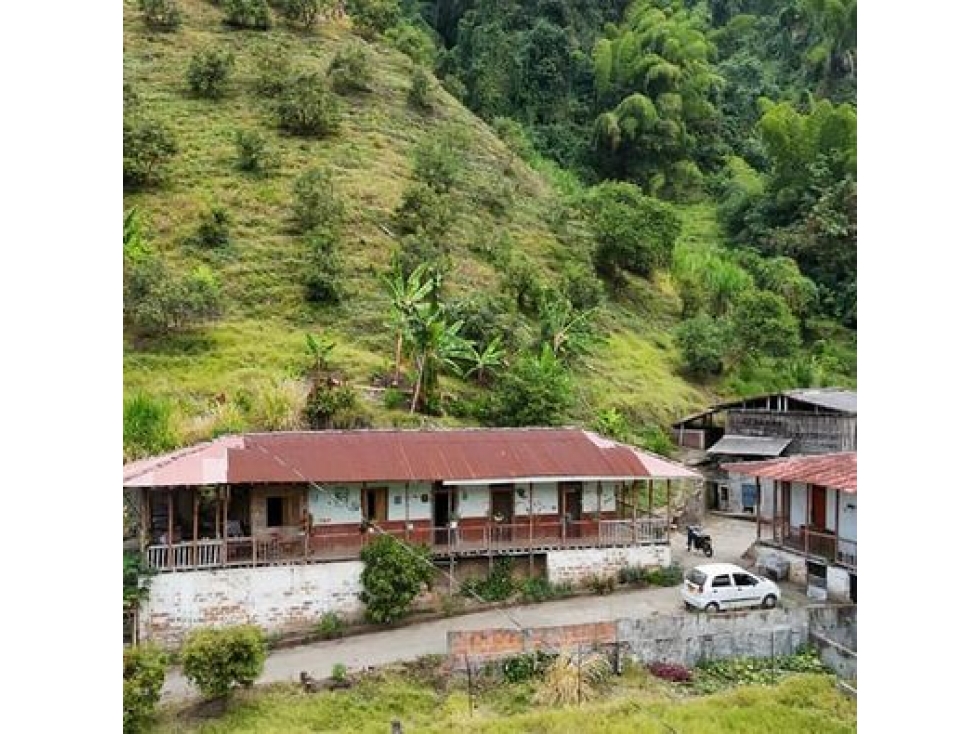 EN VENTA FINCA PRODUCTIVA VEREDA LLANITOS VILLAMARÍA CALDAS - 4