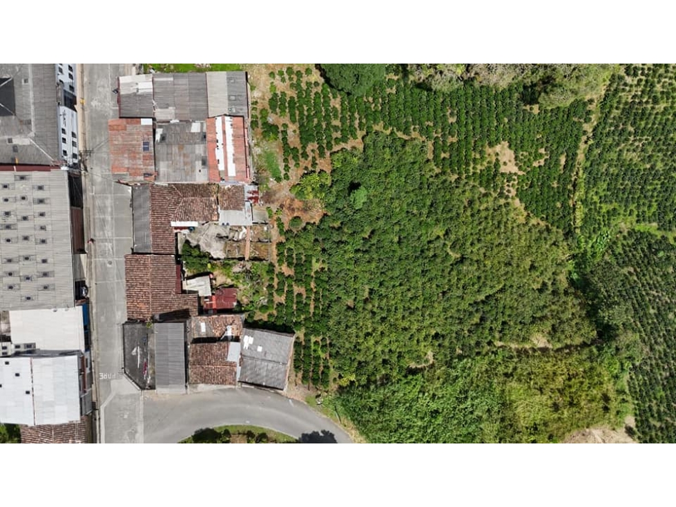 EN VENTA FINCA BARRIO LA PISTA PALESTINA CALDAS - 4