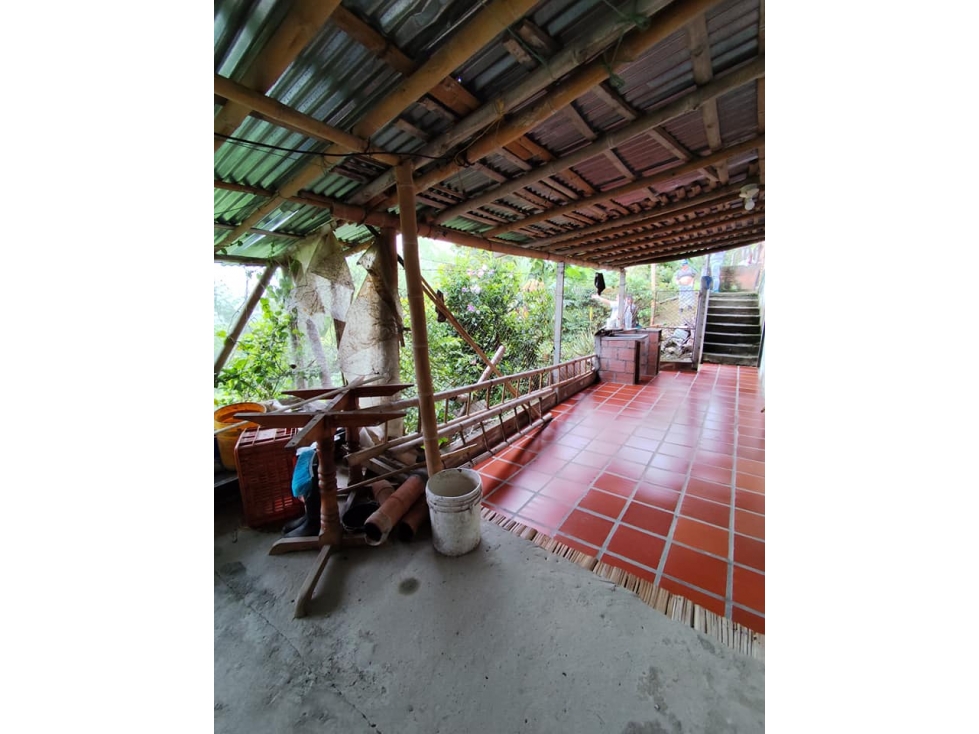 EN VENTA FINCA PRODUCTICA VEREDA SANTA CLARA QUIEBRA DE VELEZ — foto 4