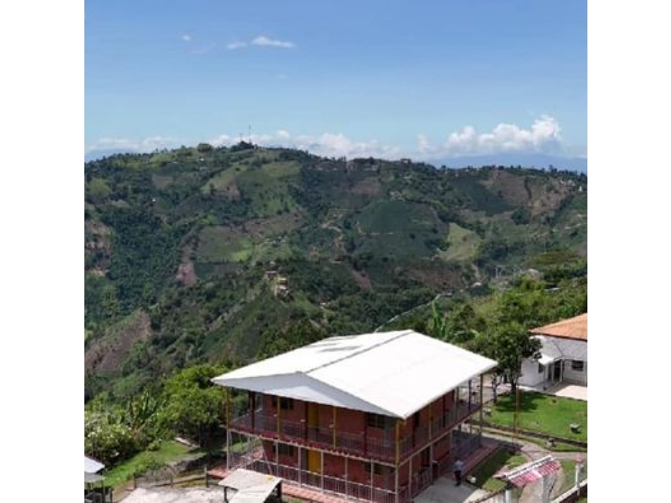 EN VENTA FINCA PRODUCTIVA LLANITOS VILLAMARIA — foto 4