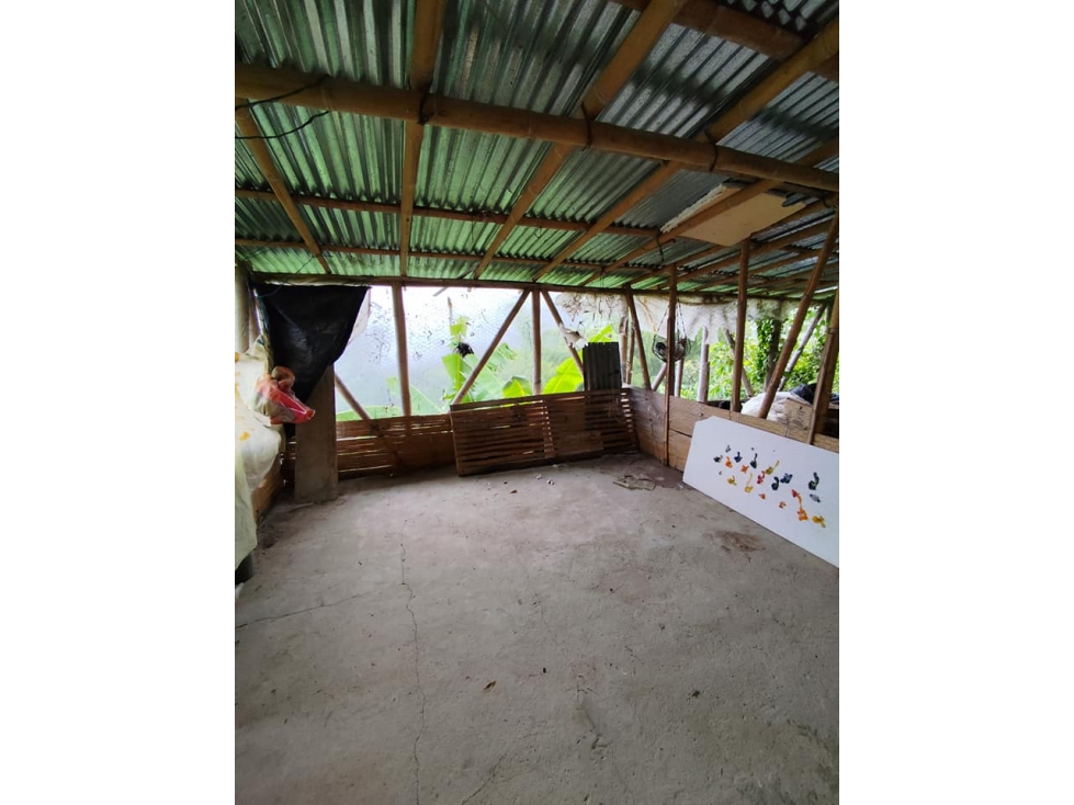 EN VENTA FINCA PRODUCTICA VEREDA SANTA CLARA QUIEBRA DE VELEZ — foto 5
