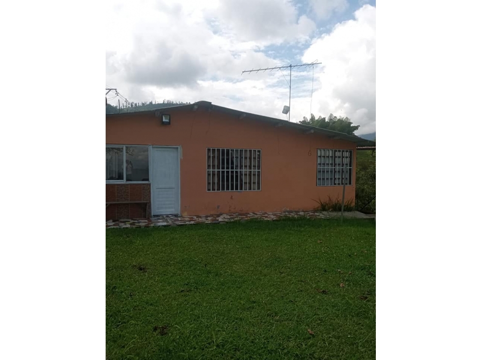 EN VENTA FINCA PRODUCTIVA VILLAMARIA VEREDA LLANITOS - 3
