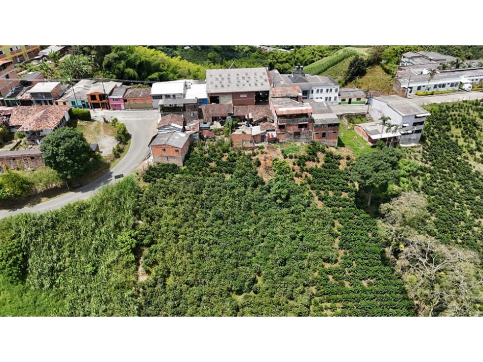 EN VENTA FINCA BARRIO LA PISTA PALESTINA CALDAS - 6