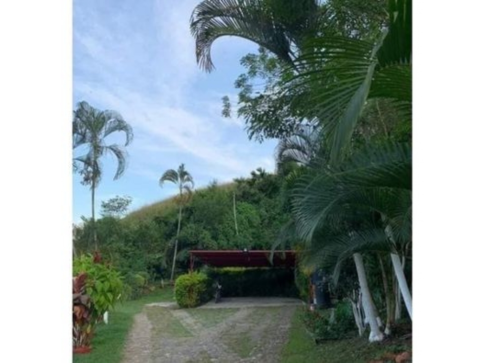 VENTA DE FINCA RECREATIVA CAMBIA RISARALDA - 6
