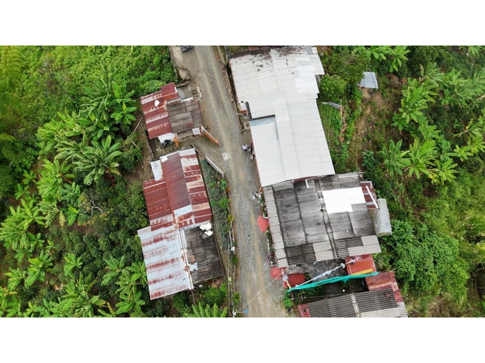 EN VENTA FINCA PRODUCTICA VEREDA SANTA CLARA QUIEBRA DE VELEZ — foto 6
