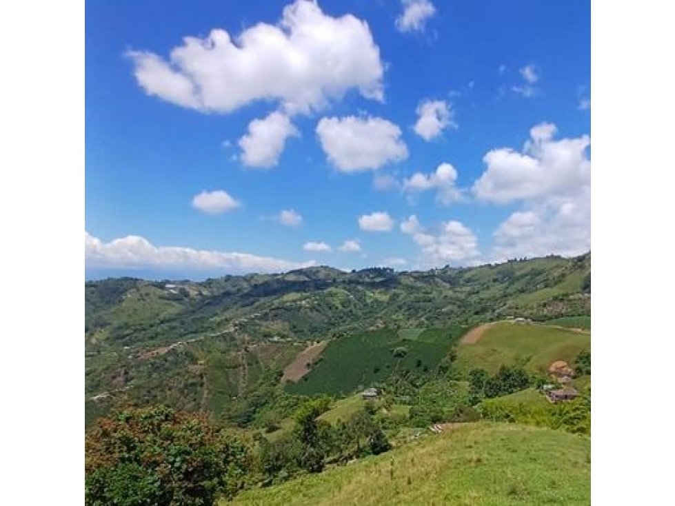 EN VENTA FINCA PUEBLO RICO NEIRA - 3