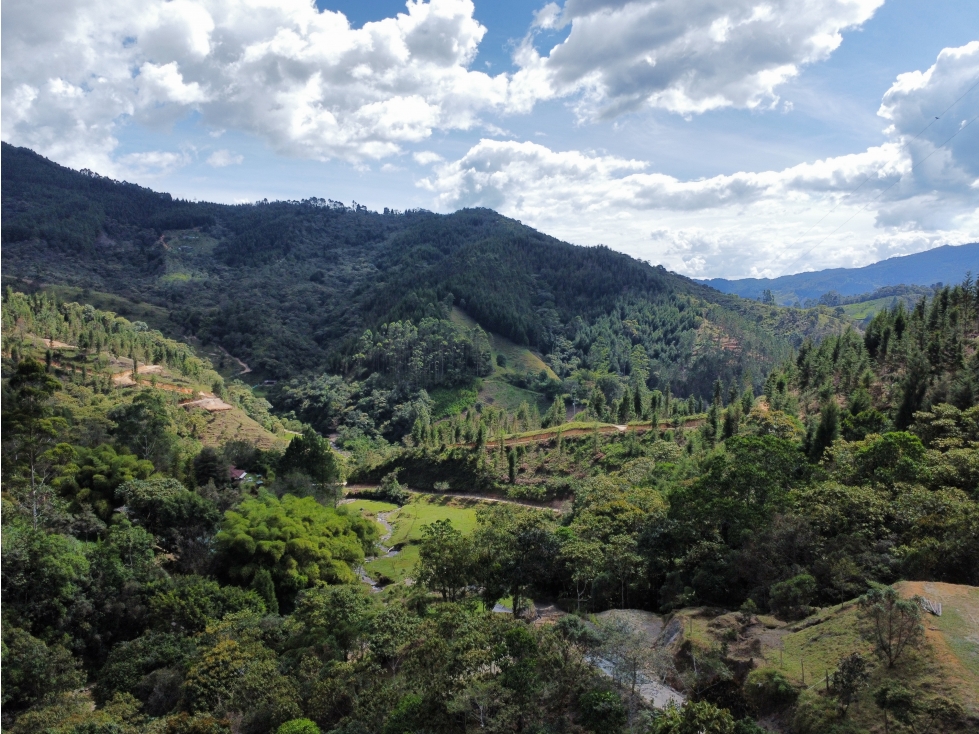 Hermoso Lote en venta Vereda La Miel, Caldas - 1