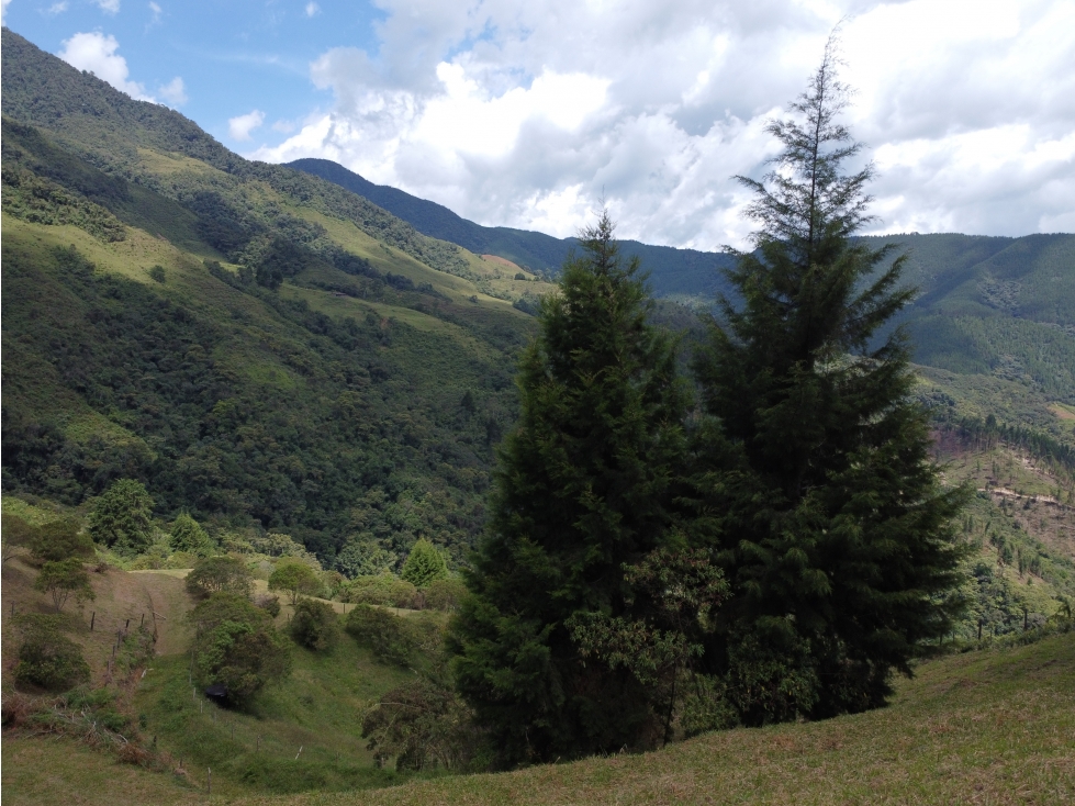 Hermoso Lote en venta Vereda La Miel, Caldas - 2
