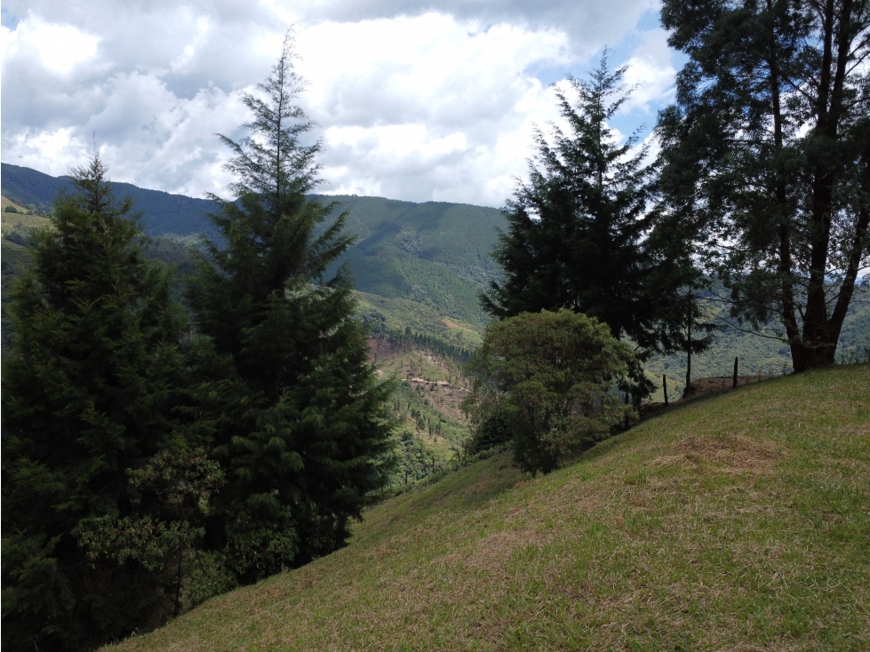 Hermoso Lote en venta Vereda La Miel, Caldas - 4