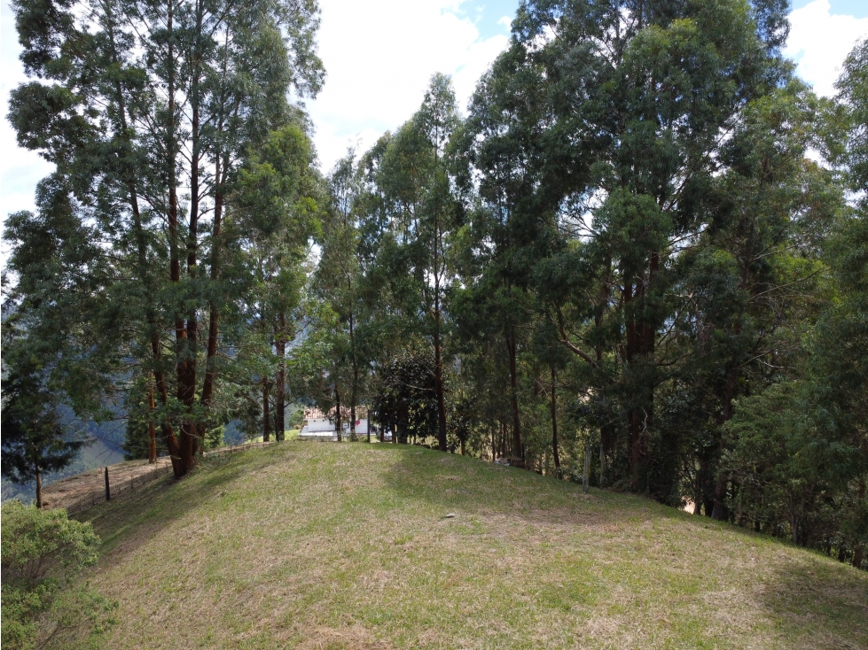 Hermoso Lote en venta Vereda La Miel, Caldas - 5