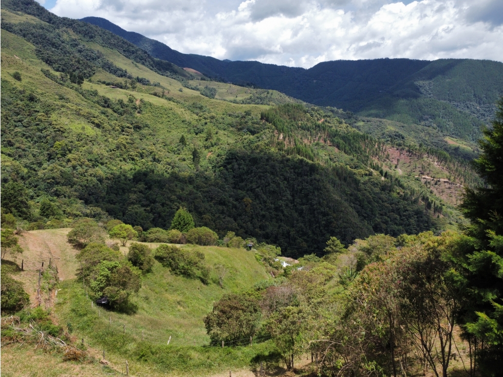 Hermoso Lote en venta Vereda La Miel, Caldas - 6