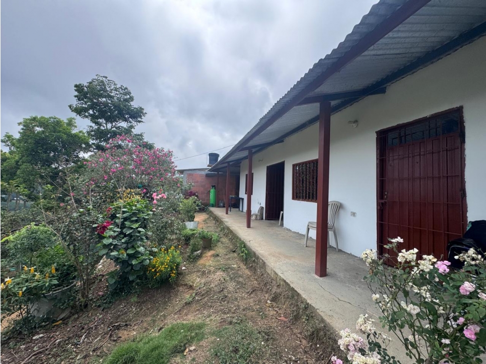 EN VENTA FINCA SECTOR PUYANA LEBRIJA SANTANDER - 2